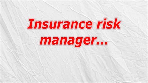 Insurance risk manager codycross.